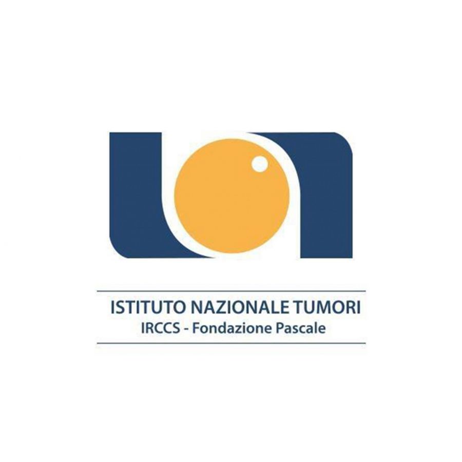 Istituto Nazionale Tumori IRCCS “Fondazione G. Pascale”